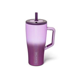 Era 30oz | Violet Crush - Quick Sip