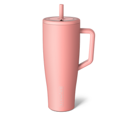 Era 40oz | Guava - Home Refresh