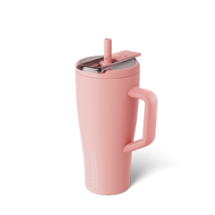 Era Flip 30oz | Guava - Pure Refresh