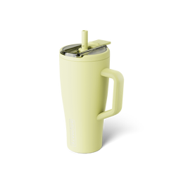 Era Flip 30oz | Prickly Pear - Home Refresh