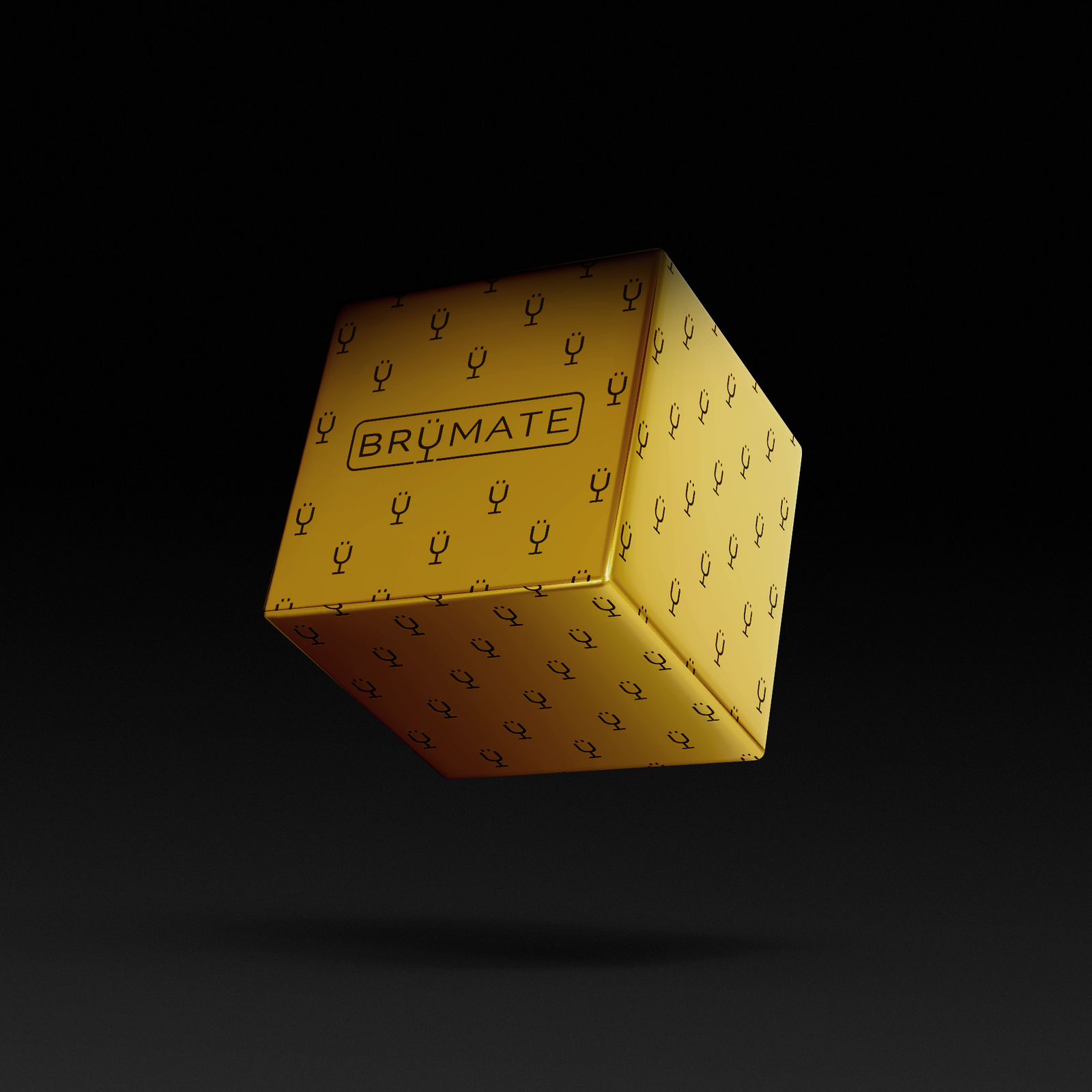 Premium Mystery Item ($39-70 Value) - Ready To Go